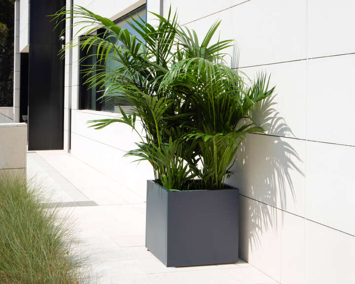 herstera Pflanzkübel Cube